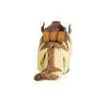 McFarlane Avatar: The Last Airbender APPA Action Figure - TLAB 2021 — view 5